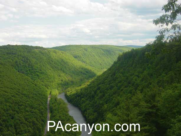 View from Colton Point State Park at the PA Grand Canyon.