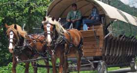Tour through the PA Grand Canyon on a Horse Drawn Covered Wagon.