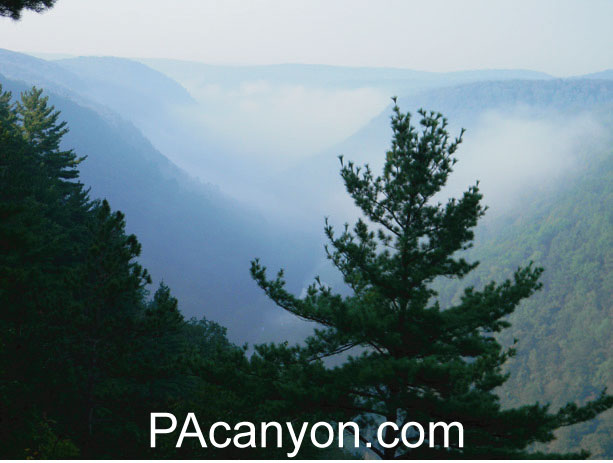 PA Grand Canyon in the mist.