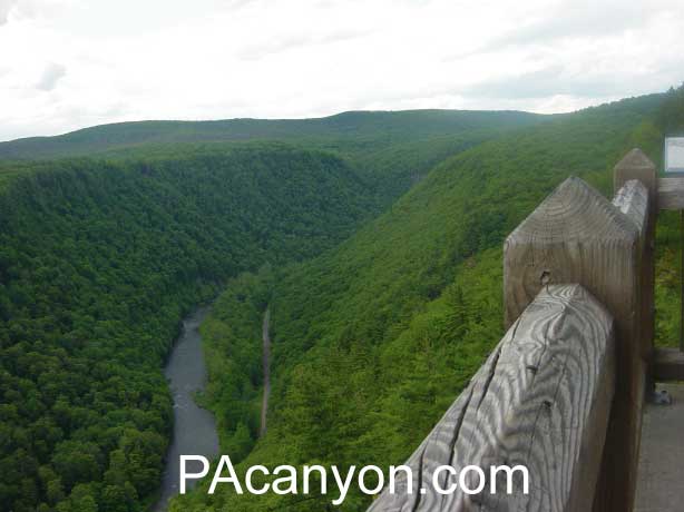 PA Grand Canyon view from Harrison Lookout. Leonard Harrison State Park.